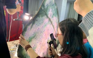 3000元的紫罗兰玉手镯紫罗兰深蓝翡翠手镯