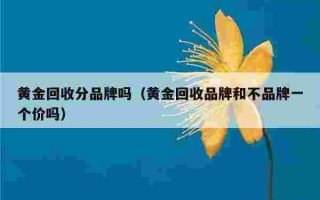 目前黄金回收价格是多少钱一克,目前黄金回收价格是多少钱一克目前泉州一亩地多少钱