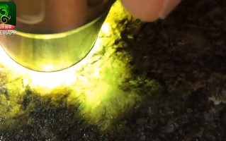 木那翡翠原石打灯表现,木翡翠原石打灯视频