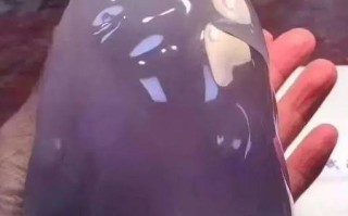 翡翠原石春彩料种类,春底的翡翠原石价格