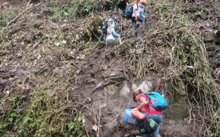 果敢翡翠有假货吗果敢翡翠知识科普