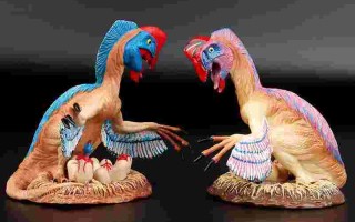 翡翠始祖龙宝宝翡翠始祖龙宝宝在哪抓