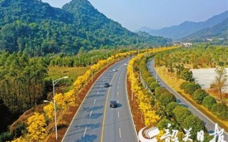 黄金路路通寓意,黄金路