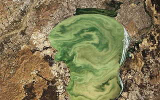 哪个星球有金子金翡翠知识星球