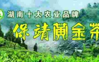 茶黄金是什么东西,黄金回收490元一克