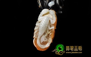 蝇翅纹翡翠,褐翅翡翠知识