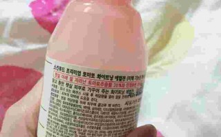 skinfood是什么牌子skinfood怎么样