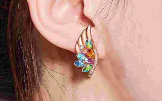 一女干部佩戴三万元耳钉,一女干部佩戴三万元耳钉原版