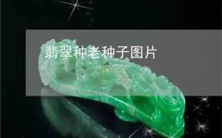 翡翠种子基础知识翡翠种子基础知识图片