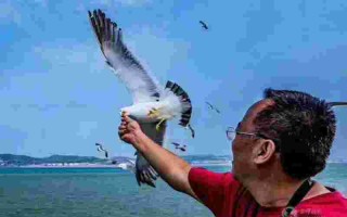 山东龙口东海黄金海岸高尔夫滨海华庭,山东龙口东海黄金海岸