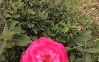 婚姻失败对普通老百姓人生轨迹影响到底有多大？