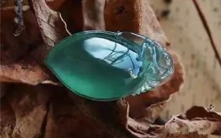 包含个人翡翠媒体介绍知识传播的词条