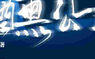 荘能子在日本是几线品牌,荘能子