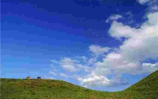 黄金牧场免费阅读黄金牧场