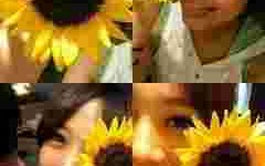 黄金车用了多少黄金黄金计程车