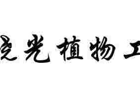 植物工坊植物工坊润唇膏