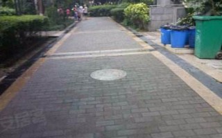 黄金东海岸黄金东