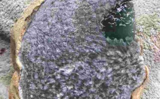 老蓝水翡翠值钱吗,老蓝水翡翠原石价格