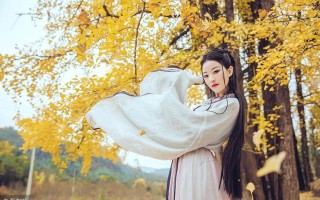 翡翠小知识讲解视频,翡翠的基本知识视频