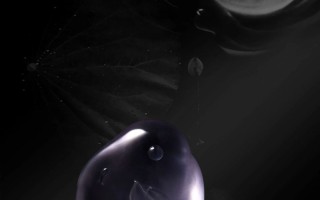 翡翠大师破解版免广告无限金币无限钻石翡翠大师破解版免广告