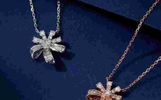 钻石项链大小对比,最大钻石项链