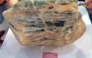 5亿翡翠原石图片大全翡翠毛料原石