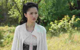 钻石豪门电视剧40集免费西瓜,电视剧钻石豪门免费视频