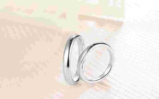 钻石小鸟属于什么档次,钻石小鸟属于什么档次品牌