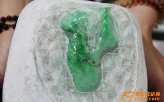 忻州高糯翡翠原石,高糯化翡翠牌子大概多少钱