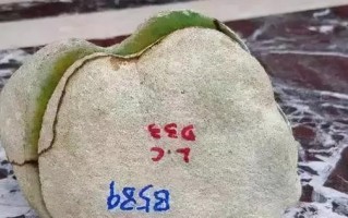 原石翡翠的价格济南翡翠原石报价