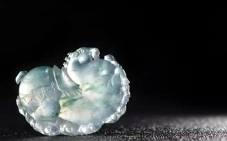 翡翠知识偶像宣言翡翠知识偶像宣言怎么写