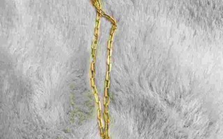 好看的黄金项链款式链型好看的黄金项链款式