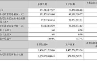 关于力量钻石财务指标分析的信息