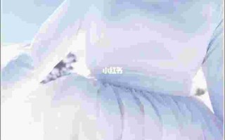 里美怎么样,里美为什么停产