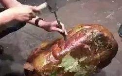 网红翡翠原石30秒会卡翡翠原石的特点视频