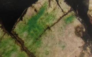 翡翠原石仙洞翡翠的原石哪里