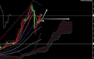 黄金分析师论文,黄金分析师论文怎么写