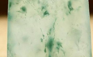 翡翠冷门知识图解冷门百科知识