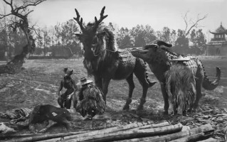 按中国民间传说，麒麟是一种祥瑞之物。那么，现实中有麒麟这种动物吗？