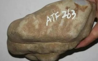 买翡翠的原石,买翡翠的原石是真的吗