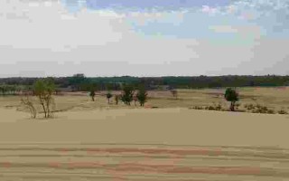 关于翡翠岛之熬鹰的信息