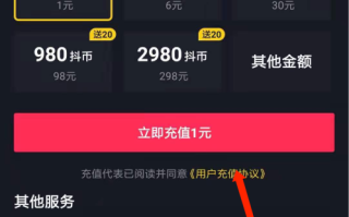 抖音官网充值入口抖音官网充值入口没了