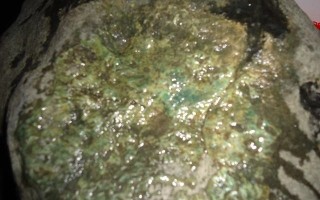 翡翠原石上都是黑色的枯癣,翡翠原石出现什么样的癣会暴色