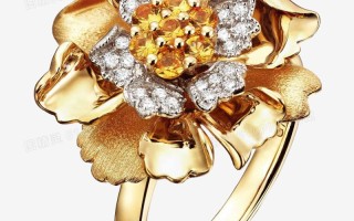 中国珠宝戒指,中国珠宝戒指的钢印是什么