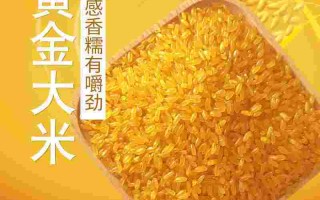 黄金米,黄金米糖尿病人能吃吗
