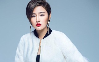 赵本山春晚翡翠知识,翡翠知识入门大全