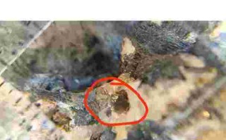 钻石原石图片大全鉴别方法图解,钻石原石图片大全鉴别方法