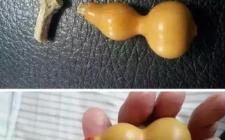 手捻葫芦有“三怕”，分别是指什么？