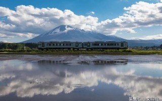 翡翠青龙眼手镯,a货翡翠手镯