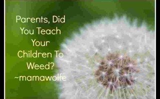 jufy,jufy英文名是什么意思